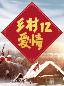 乡村爱情12