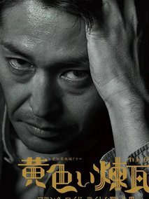 黄砖～骗过弗兰克·劳埃德·赖特的男人～